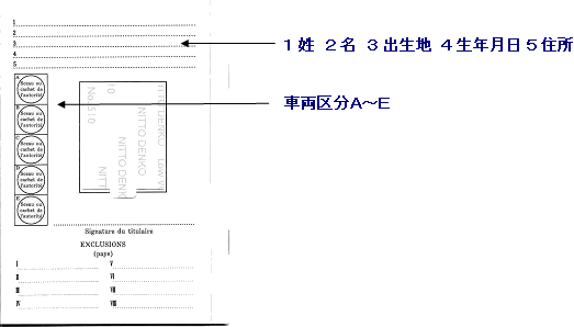 海外での運転に必須の国際免許とは? 取得方法 期限 場所 注意点etcをバックパッカーが徹底解説 2ページ目 │WEBヤングマシン新車バイクニュース