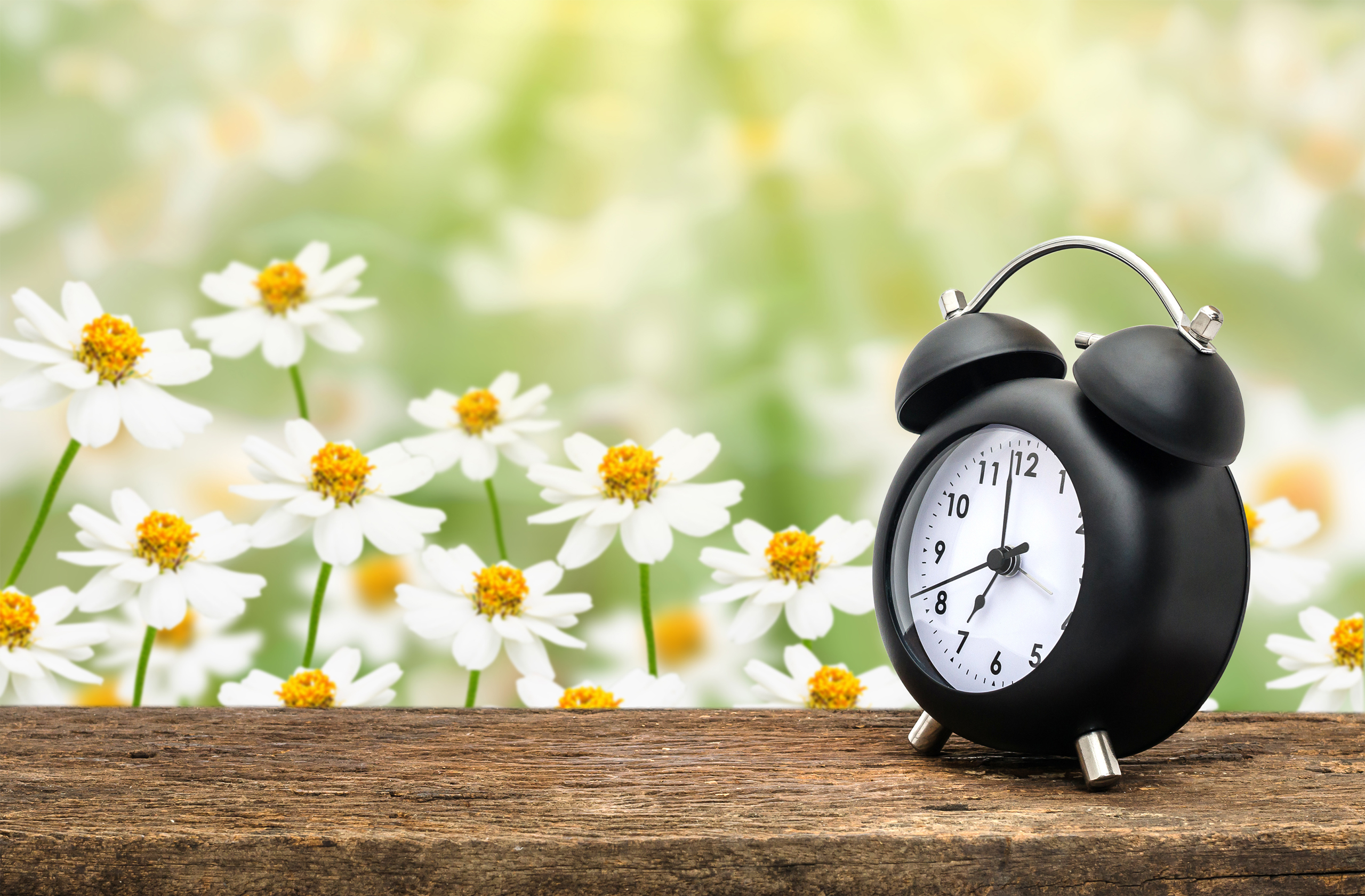 サマータイム、EUで廃止論 是非判断へ世論調査 - 日本経済新聞