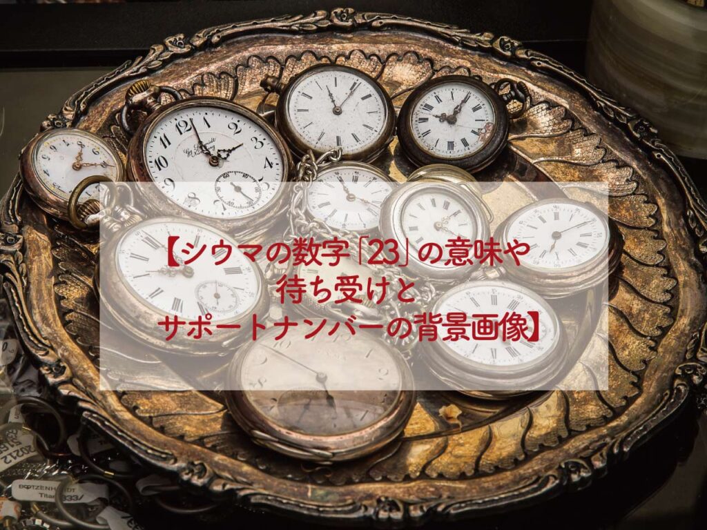 シウマの車のナンバー占い！最強数字の車ナンバーと悪い数字の対策は？ - 幸運ジャーナル