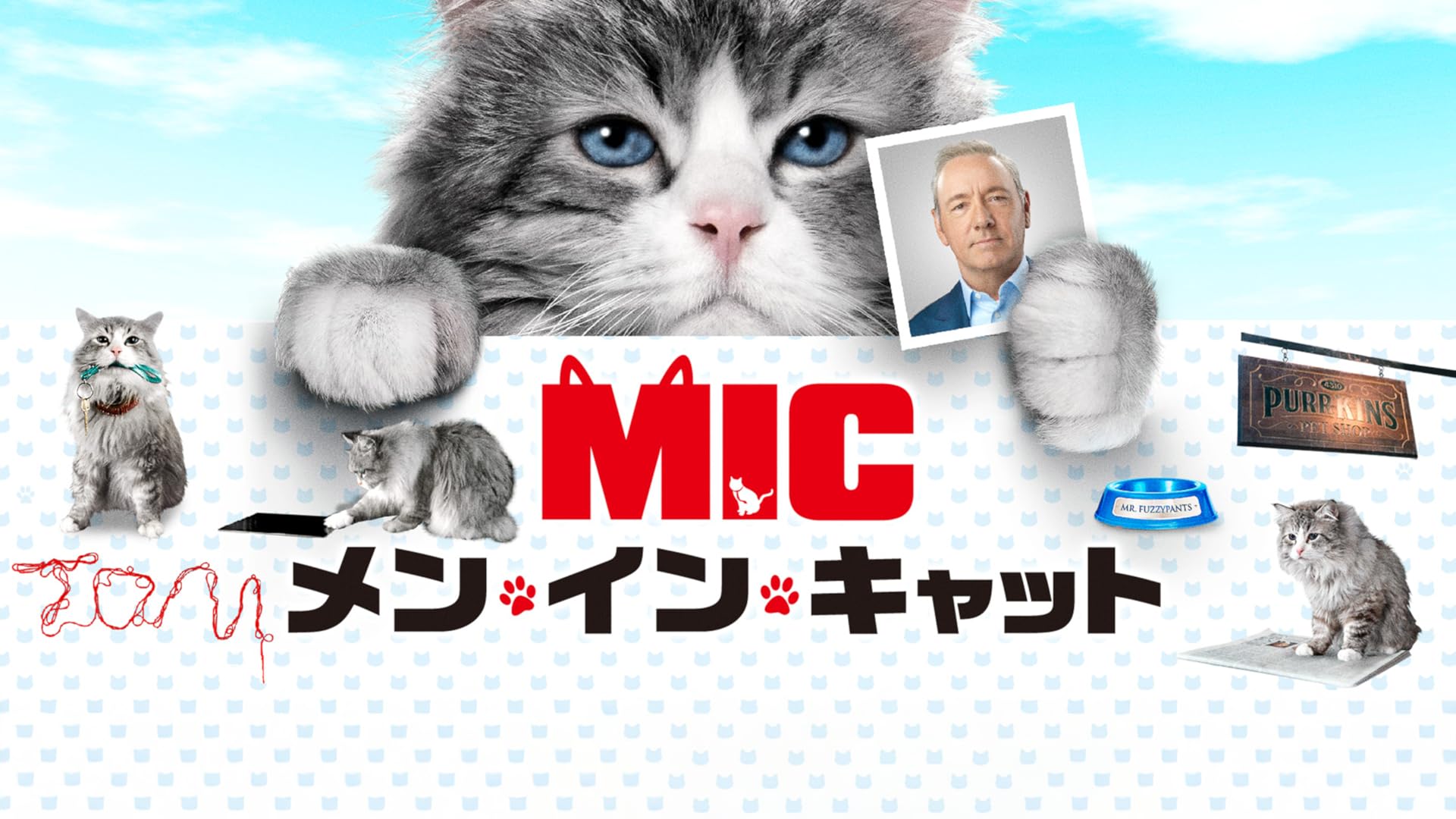 Watch ウソから始まる恋と仕事の成功術吹替版Prime Video