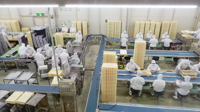 食品工場のベルトコンベア入替え産業機械の修理・メンテナンス 株式会社グッドワーク