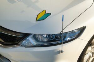 Amazon.co.jp: 初心者マーク 窓の内側から はってはがせるタイプ 吸盤タイプ代替 ドット糊ステッカー初心運転者標識道交法施行規則準拠品: 文房具・オフィス用品