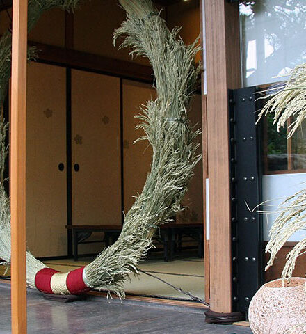 ミツマタ - Wikipedia