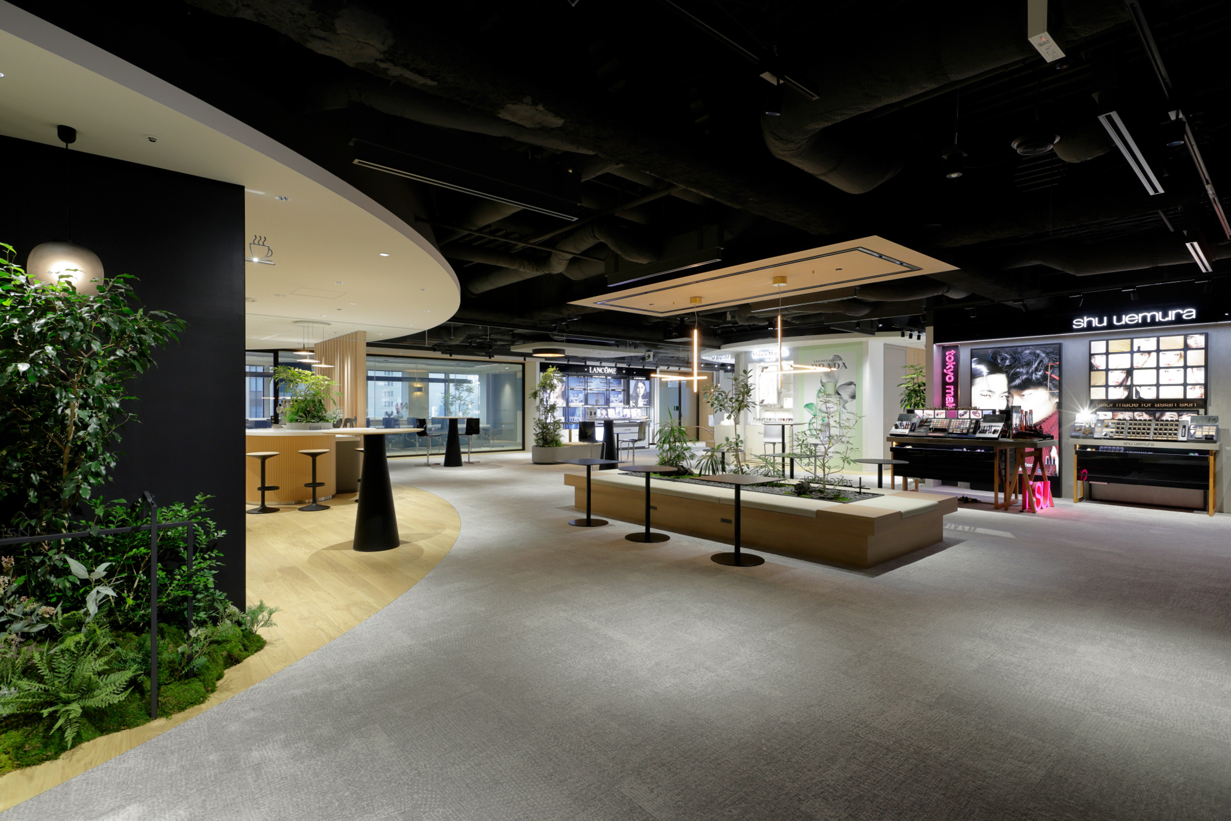 日本ロレアル様の新オフィスに鳥取県智頭町の木材を採用いただきました一般社団法人more trees