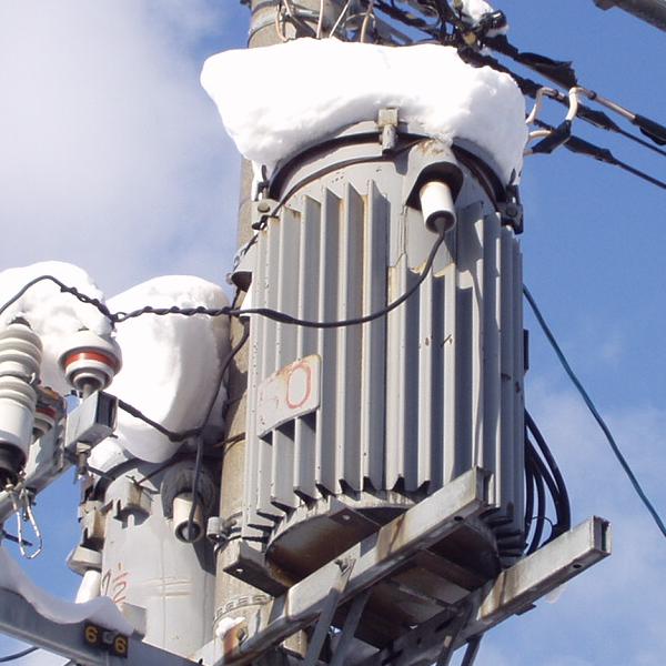 パラリオ❄️🐺🌱❤️‍🔥 on X: 