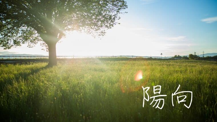 太陽や光など明るくて暖かいイメージの男の子と女の子の名前！中性的な名前も赤ちゃんの名づけお役だち情報