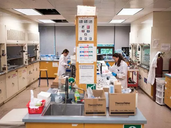 サンバイオ・ショック再び 悪材料２つで売り殺到、師走の新興市場に冷や水 - QUICK Money World