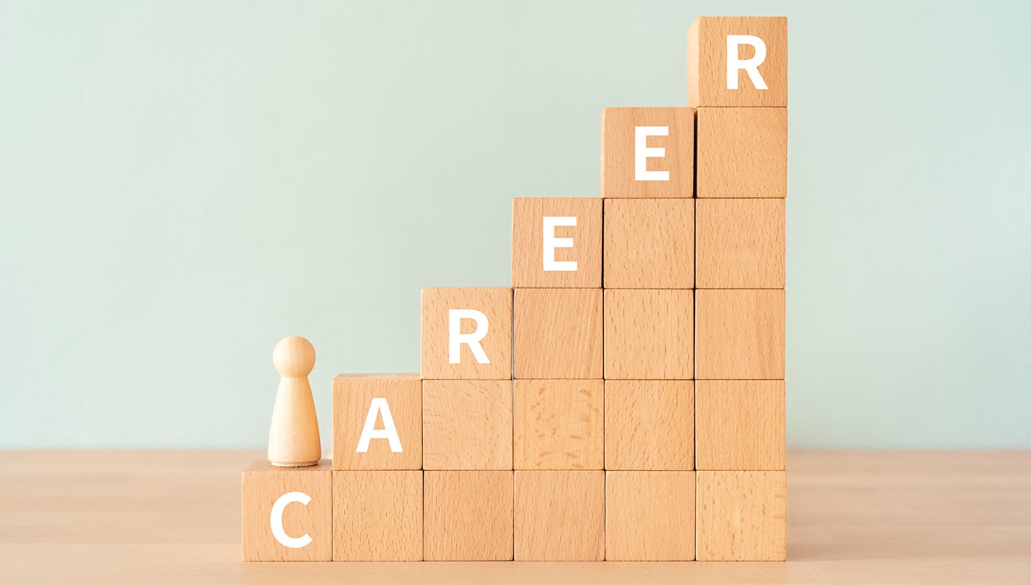 キャリア・パスポート向けファイルシリーズ 年組氏名クリアーファイル クリアー FL-201SF:ビックカメラ通販JRE MALLショッピングJREPOINTもおトクに貯まる・使える