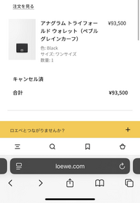 ロエベオンラインでクレジットカードが使えない、決済できない、キャンセルされて買えない原因と解決策