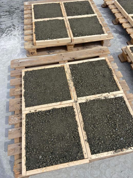 透水性コンクリート「オコシコン」の施工見学