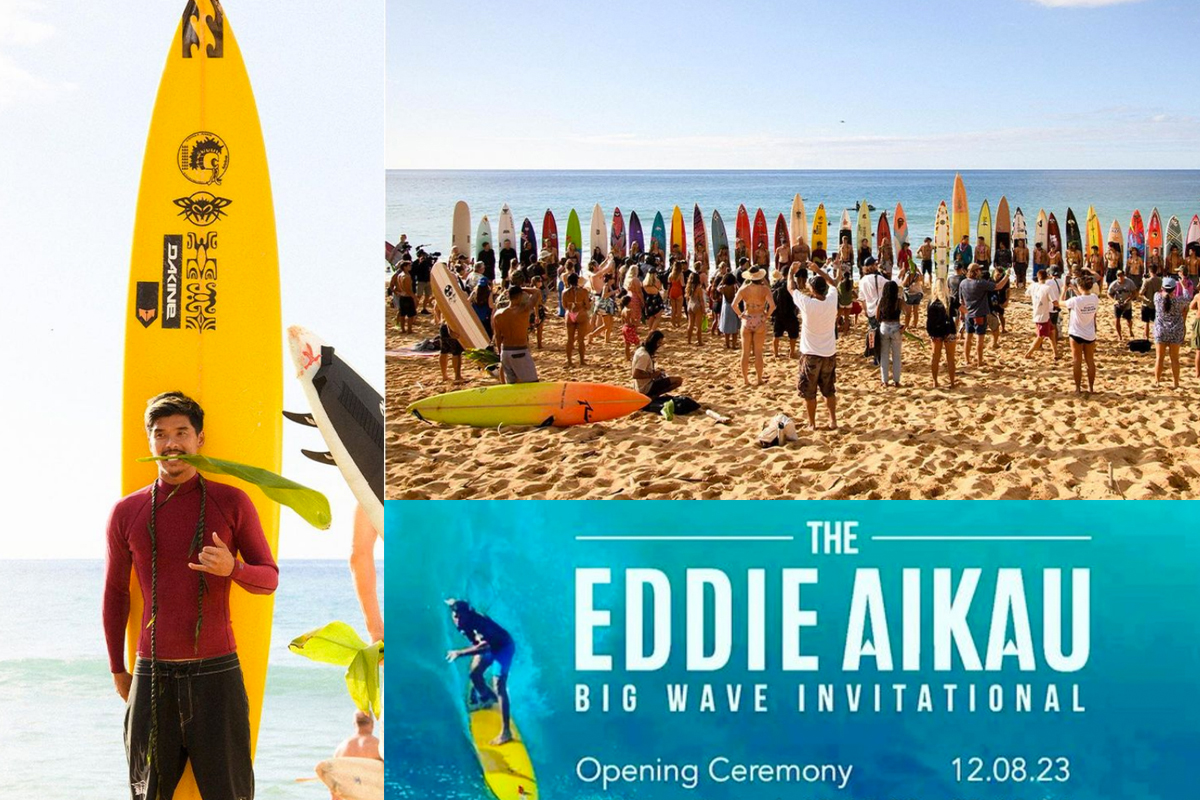 Kate Eddy - netball.com.au