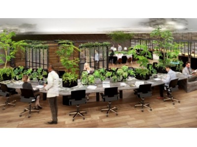 コモレビズが語る、バイオフィリックオフィスで学ぶべき「自然との触れ合い方」Worker's Resortオフィス マネージャーのためのリサーチネットワーク