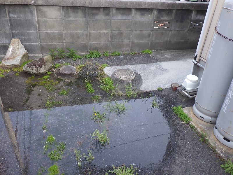 キッチンの排水管や蛇腹ホースの水漏れの修理方法～パッキン交換や排水管の交換手順を解説水のレスキュー 公式