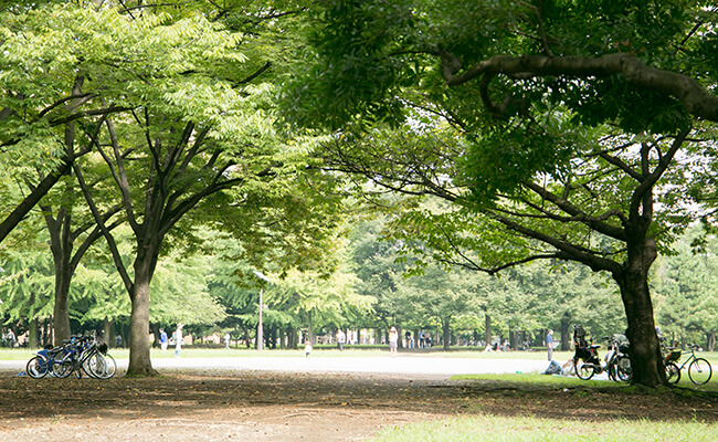 ほ志の 門前仲町・清澄白河 フレンチ- Retty レッティ