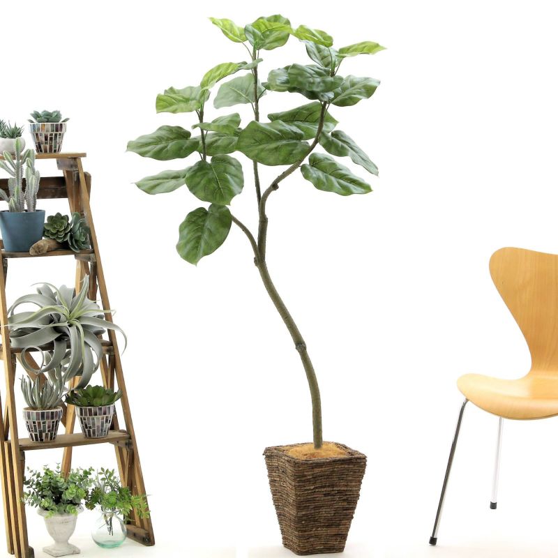 造花ドットコムのトネリコって買っても大丈夫？実際に買ってみたレビューや口コミを紹介KURAKURA