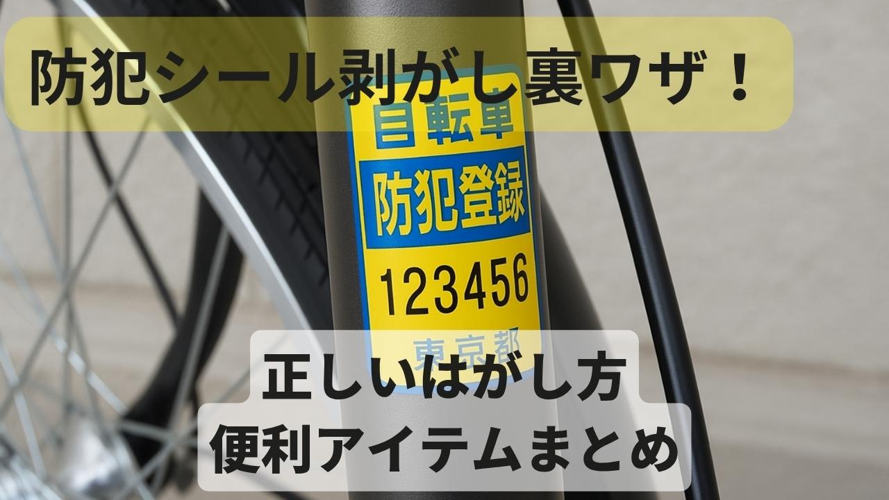 シール剥がし スクレーパー ヘラ 強力 ステンレス プラスティック 替刃 20枚セット 裏技 車 シールはがし ガラス キッチン 汚れ落としポケットスクレーパ