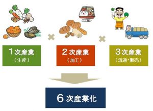 地産地消とは？消費者と生産者のメリットや適地適作の違いについて政治ドットコム
