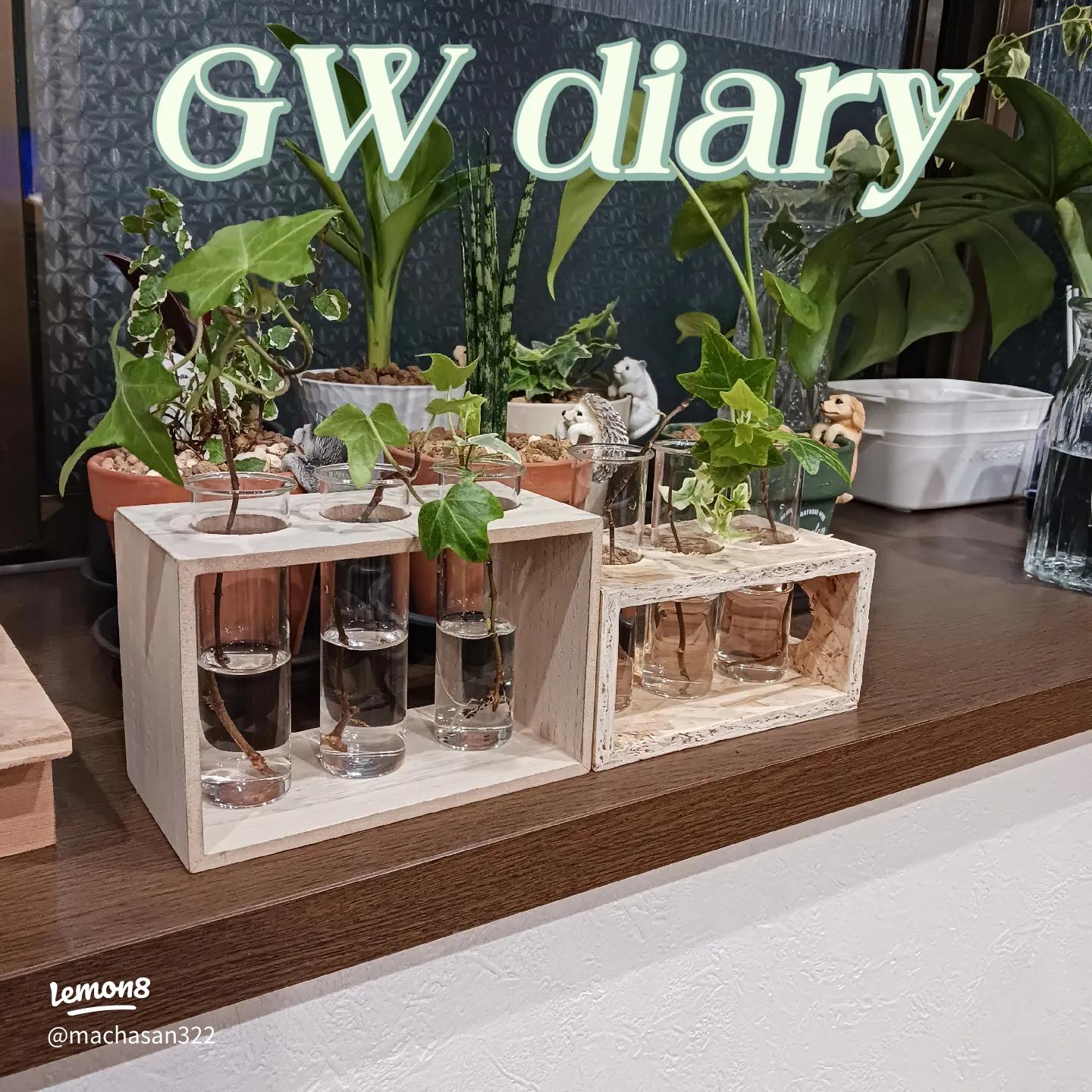 ウッドインテリア 試験管