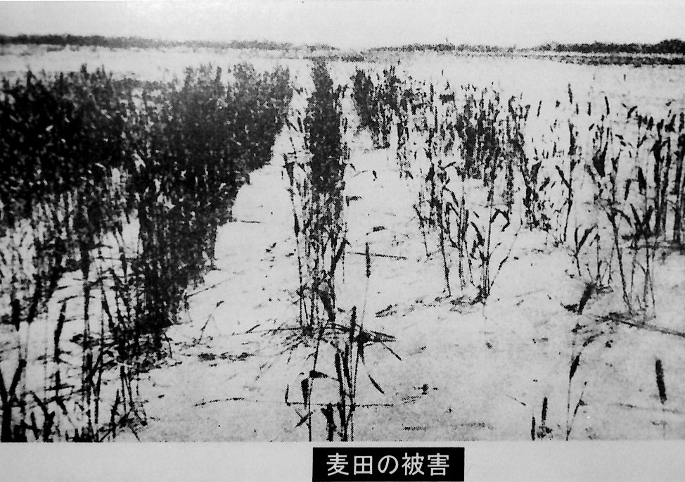 栃木県 足尾銅山 足尾鉱毒事件の地20655983 の写真素材 - アフロ