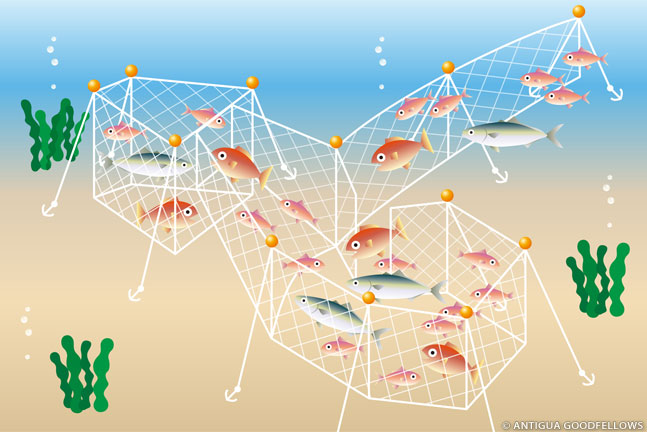 付録 漁法のいろいろ～漁法によるサステナビリティの違い～WWFジャパン