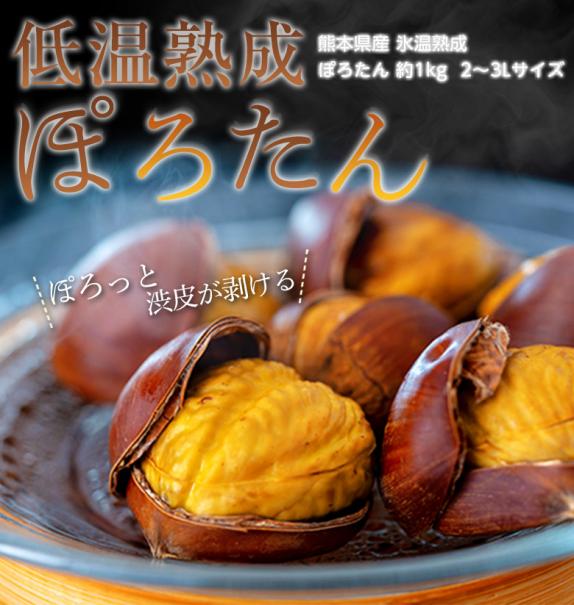 ぽろすけ 栗 の特徴と育て方 kaju_kuri020-02苗木部の部室 〜苗木、育てよう〜 By 花ひろばオンライン