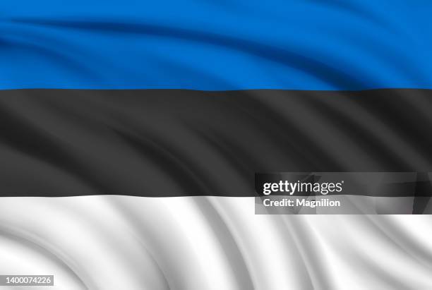 850点を超えるエストニア国旗の映像素材とロイヤリティフリー映像 - iStock