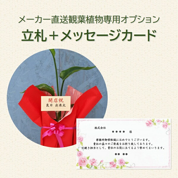 株式会社REPRAお知らせ記事