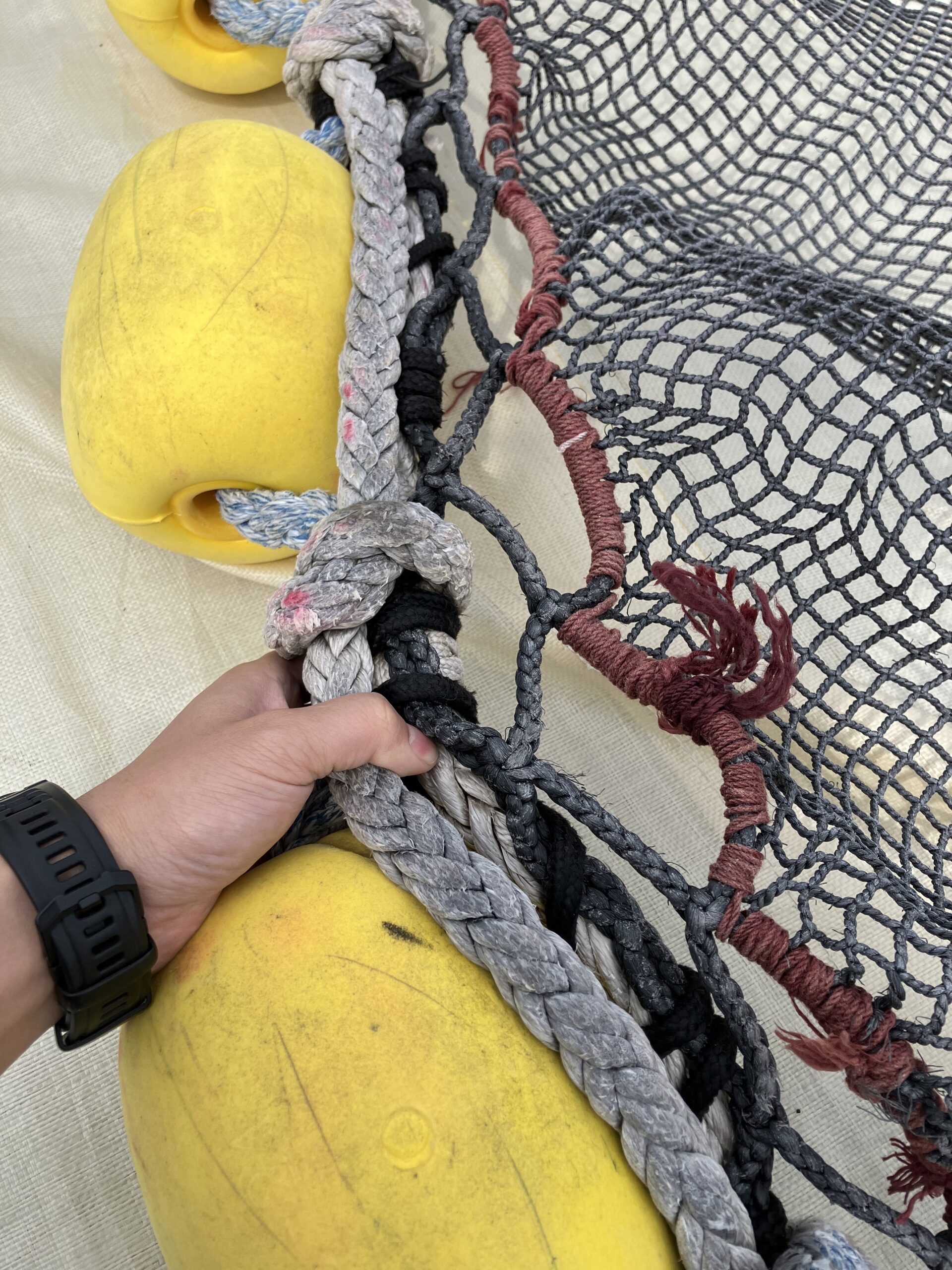 漁法の違いとは？環境と食の安全性を考えるマイナビ農業