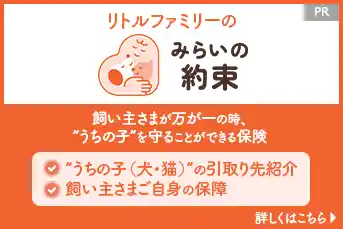❝治療費が保険適用になりましたヾ o´∀｀o ﾉﾜｧｰｨ♪❞ - わんこと気ままな車旅 ~よつば日記