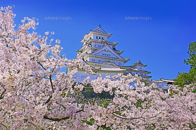 兵庫県 姫路城 城のはじまり赤松貞範 御城印◇日本百名城 - メルカリ