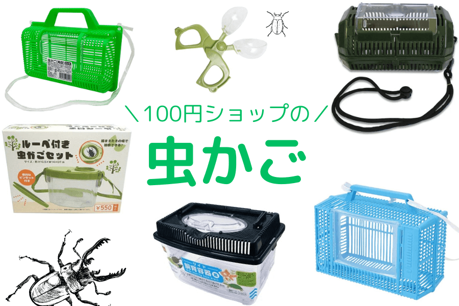 ダイソー 虫かごを屋久島風に変身！簡単に出来る100均グッズがあった～ : うさぎ食堂へようこそ Powered by ライブドアブログ