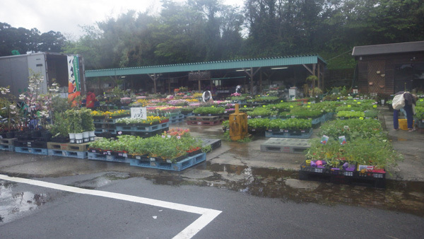 田中青果プロデュースの』by watan233 : HALO cafe - ふじみ野 カフェ食べログ