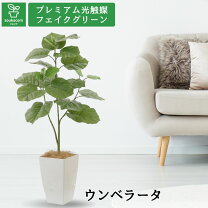 ズボラ女子にもできる『グリーンのある暮らし』造花ドットコム 購入品レビュー - アラフォー女子のおひとりさま戦略