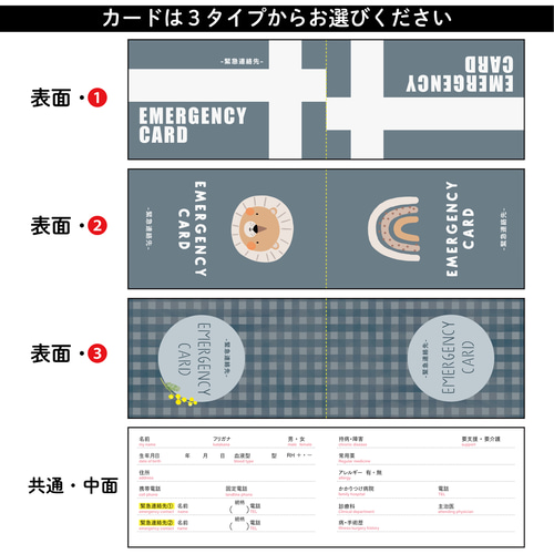 エマージェンシーカードhexkey