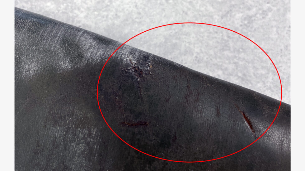 財布の寿命はどれくらい？素材別、買い替えサイン、長持ちさせる方法を徹底解説