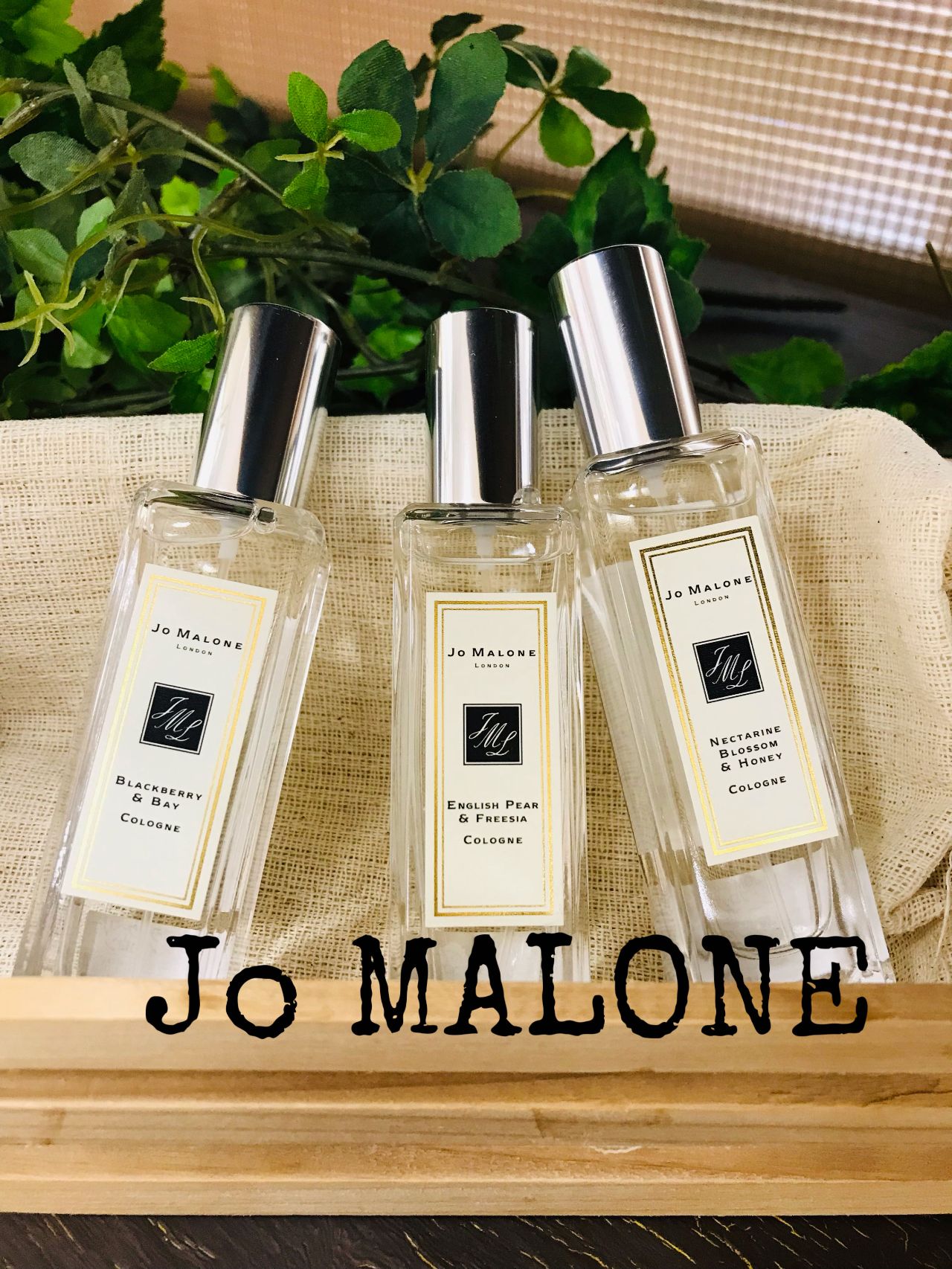 ららぽーと富士見店 埼玉県富士見市 のJo Malone London ジョー マローン ロンドン 取扱商品情報美容・化粧品情報はアットコスメ
