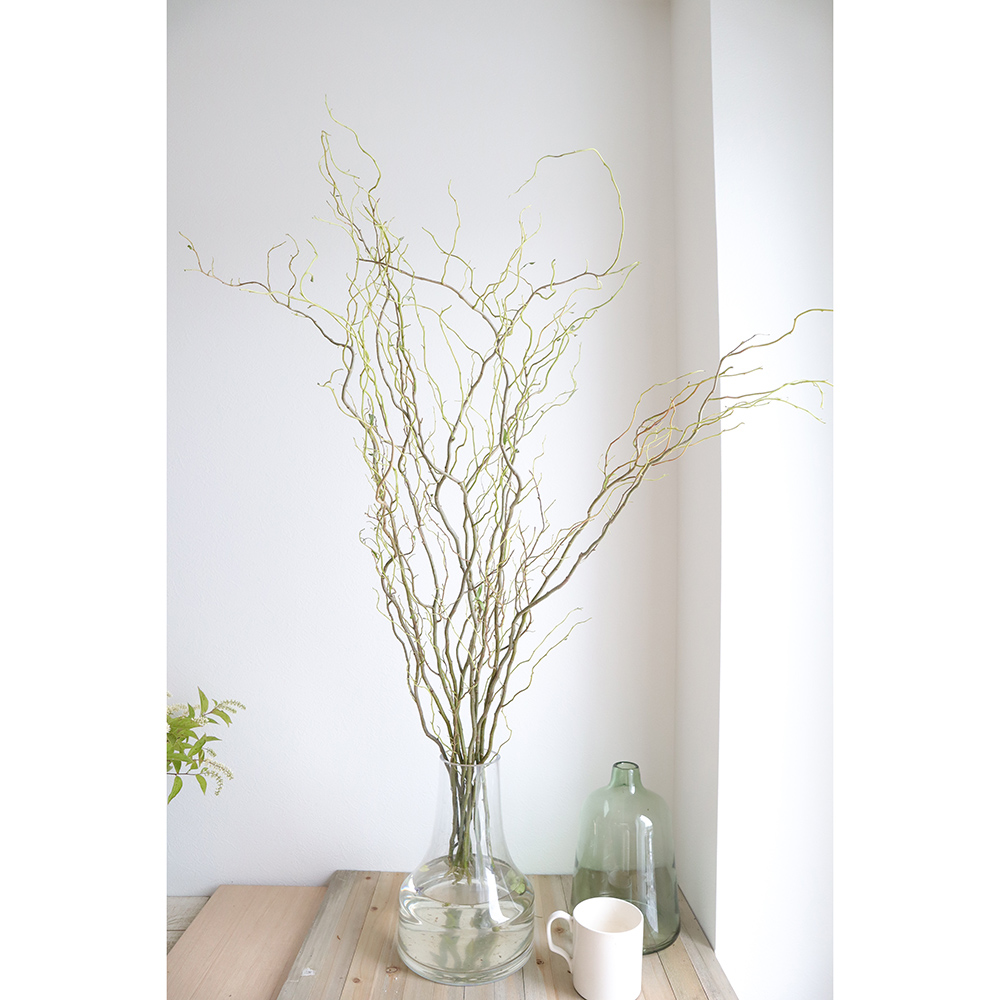 ドライフラワー 雲竜柳商品ページ - 土と風の植物園