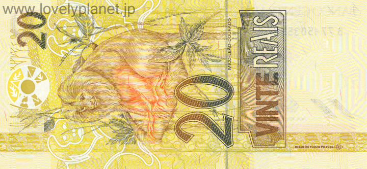 新興国通貨「ブラジルレアル」のこれまでと今後の見通しとは？みんなでつくる！暮らしのマネーメディア みんなのマネ活