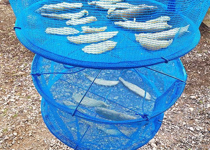 ダイソー「セーター干しネット」2個使いなら、大物も省スペースで平干しできる！ 本日のお気に入りkufura クフラ 小学館公式