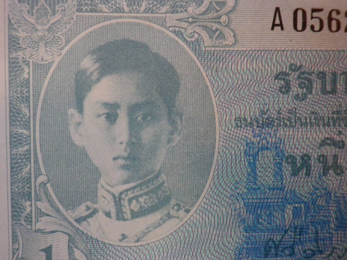 タイ – 野崎コイン