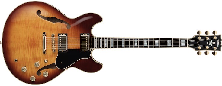 AmazonDonner セミアコギター エレキギター セミアコースティックギター セミホロウボディ ダブルカッタウェイ JazzElectric Guitar with Semi-Hollow Body ブラック DJP-1000Dセミアコギター楽器・音響機器