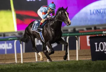 キーファー・サザーランドが語る役選びのポイントは？ 画像4 5最新の映画ニュースならMOVIE WALKER PRESS