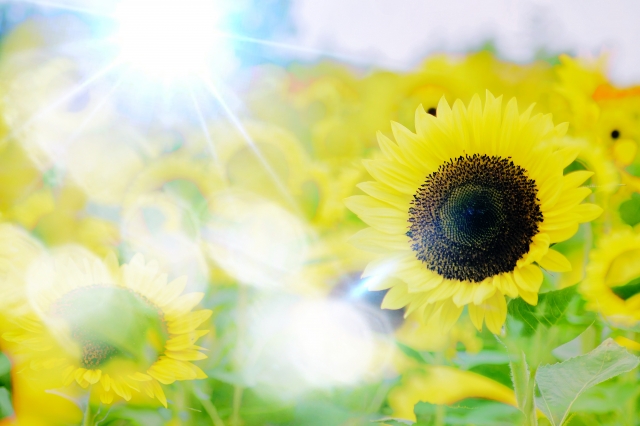 洸」の意味や由来は？名前に込められる思いや名付けの例を紹介！トモニテ