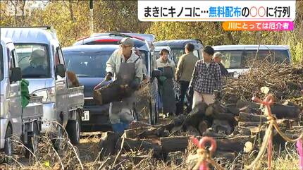 薪拾いはどこでする？違法にならない場所や方法、コツについて「森の中」森を知り、感じるためのメディア齋藤木材工業株式会社