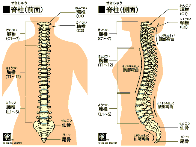 人品骨柄」 じんぴんこつがら の意味