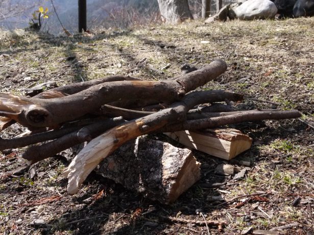焚き火の「薪」を無駄なく正しく買えてる？ 上手な選び方と揃えるべき量を解説