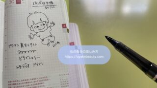 手帳にもオススメ。書きやすくて裏写りしにくいボールペンたち。ぴらめこな生活