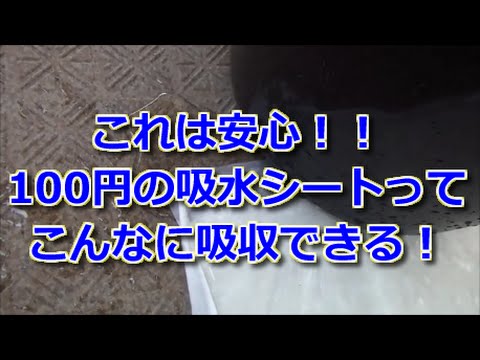 ダイソーのジェルポリマーは見た目がかわいい！どんな植物に向いている？100均アイテムで、暮らしをもっと便利に楽しむ情報メディア くらしマグネット