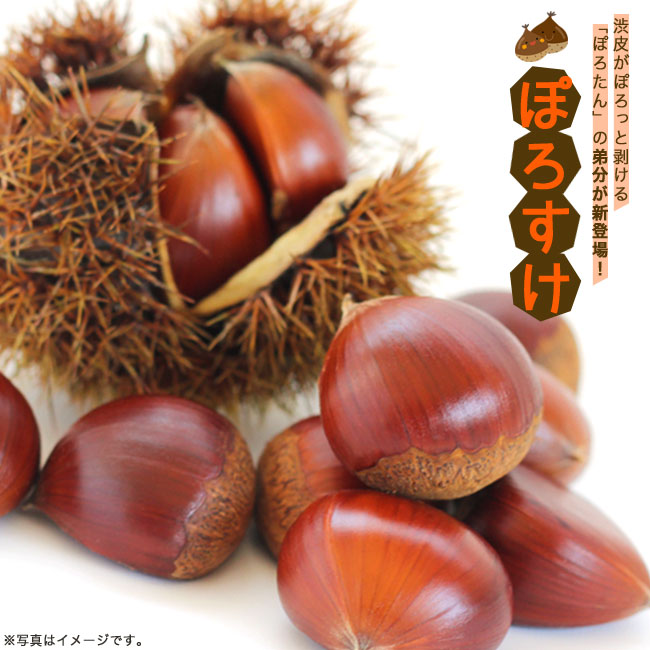 FIG廣井きくり ひろいきくりアニメ「ぼっち・ざ・ろっく!」 1 7 完成品 フィギュア ウェーブ WAVE買取13,950円