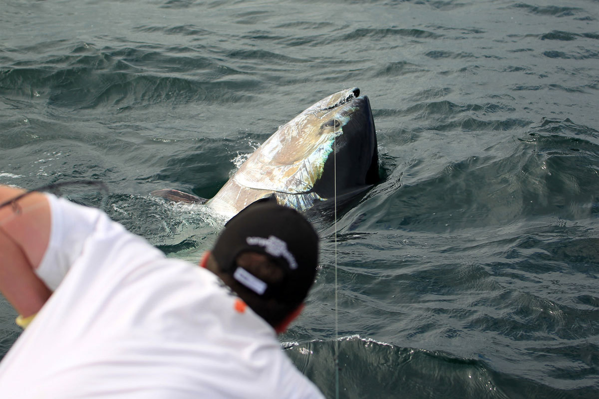 代表的な漁具・漁法の解説 水産研究本部 北海道立総合研究機構